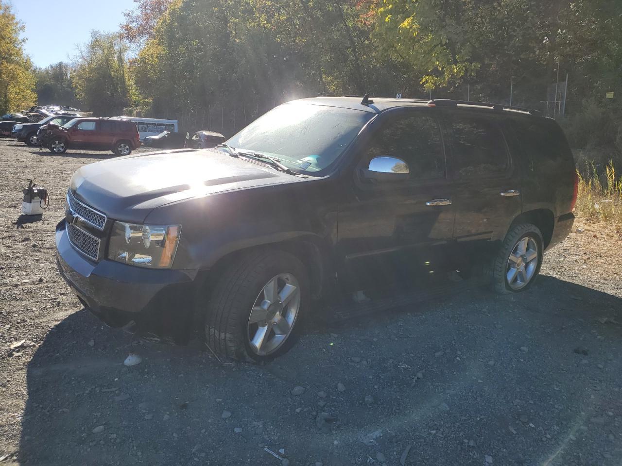 Новый контейнер 26.06.2025