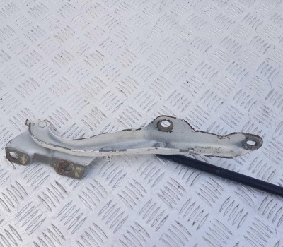 Петля капота левая Ford Expedition 1998-2006 F65Z 16797 AG; 1L34 16801 AA