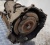 АКПП Cadillac Escalade 2006-2014 6L80 (08г; 140тыс. км) 19328911; 17804014; 17803791
