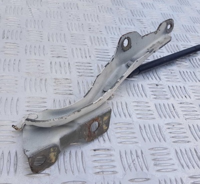 Петля капота левая Ford Expedition 1998-2006 F65Z 16797 AG; 1L34 16801 AA