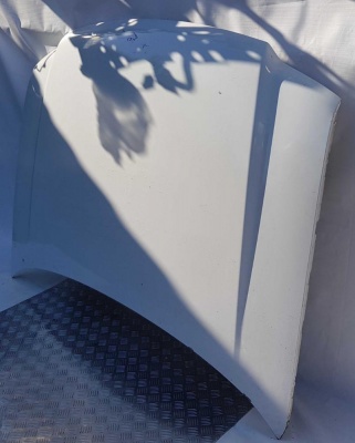 Капот Ford Expedition 2L1Z 16612 AA