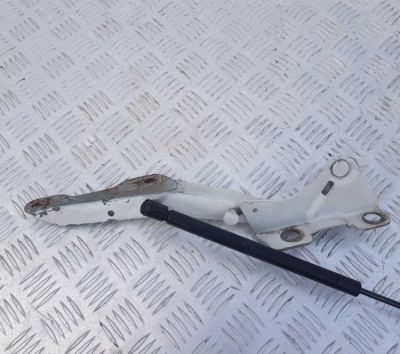 Петля капота левая Ford Expedition 1998-2006 F65Z 16797 AG; 1L34 16801 AA